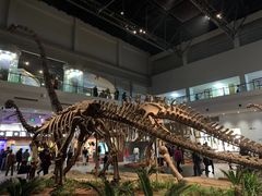 -自贡恐龙博物馆