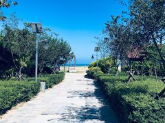 -青岛银沙滩温德姆至尊酒店