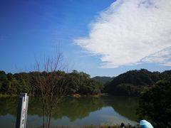 -广州市石门国家森林公园