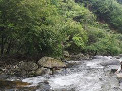 -少华山国家森林公园