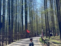 -山王坪喀斯特国家生态公园