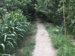 -醉二娘正宗西昌火盆烧烤(大丰店)