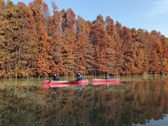 -上海海湾国家森林公园