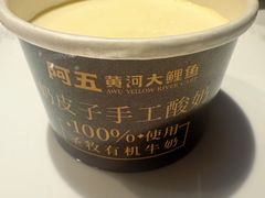 -阿五黄河大鲤鱼(英协路店)