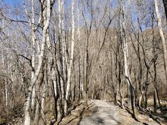 -玉渡山自然风景区