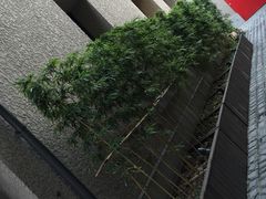 -徐家汇源景区-衡山坊
