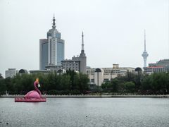 -莲花池公园