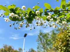 -幕燕滨江·长江观音景区