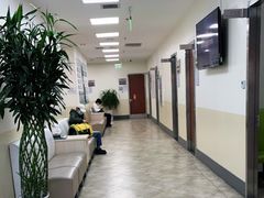 -美联众合动物医院·24h转诊中心