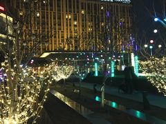 -廊坊固安福朋喜来登酒店