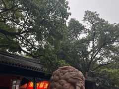 -成都武侯祠博物馆