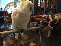 大堂-那家小馆•北京菜•烤鸭(香山店)