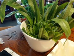 油麦菜-惠友大虾(太原北街店)