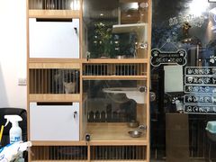-1013 PET SHOP精品宠物商店(丁香店)