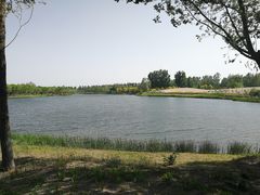 -东郊湿地公园