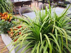 -悦融·京鲁菜·露台花园(安定门店)