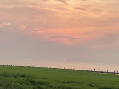 -南汇嘴观海公园