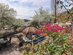 -桃源山庄·水蜜桃采摘·柴火鸡·烧烤团建(龙泉山店)