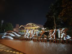 -合肥大剧院