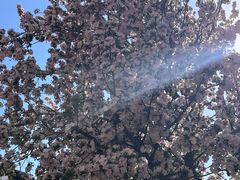 -京津佛罗伦萨小镇