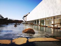 -罗红摄影艺术馆