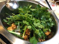 -九道菜有鸡鱼头(石鼓路店)