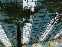 -沈阳龙润夏宫温泉水乐园