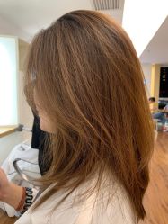 -THE LOG SALON 记录