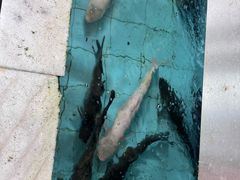 -金百门·顺德海鲜酒家(陈村店)