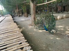 -南京金牛湖风景区