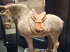 -隋唐大运河文化博物馆