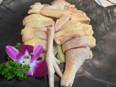 壹号土鸡-顺德公广东猪肚鸡·煲仔饭(白石洲店)