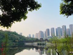-重庆彩云湖湿地公园