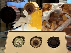 -Laderach 莱德拉(上海环贸iapm店)