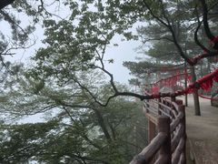 -秦岭天竺山生态文化旅游景区