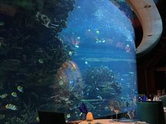-迪拜帆船酒店海底餐厅
