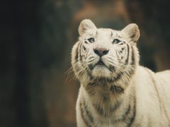 -杭州野生动物世界