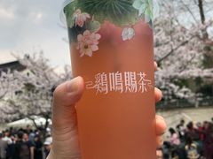 -鸡鸣赐茶(鸡鸣寺路店)