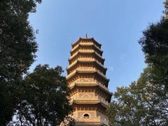 -灵谷景区