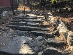 -阳台山自然风景区