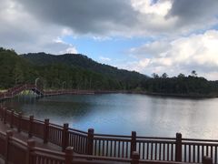 -海南热带雨林国家公园吊罗山景区