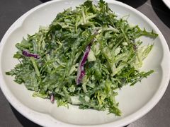 沙拉苦菊菜-燕春楼(海河华鼎店)