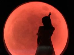-苏州5D星空错觉艺术馆