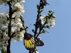 -风云岭森林公园