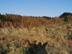 -山王坪喀斯特国家生态公园