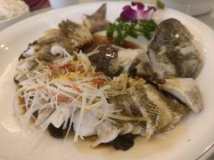 -博雅渔港·融合菜(维也纳国际大酒店)