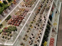 -KKV(常州新北万达广场店)