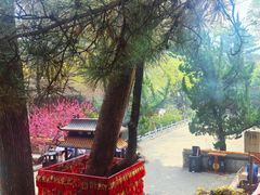 -潭柘寺景区
