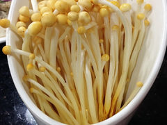 -蜀九香火锅(玉林店)