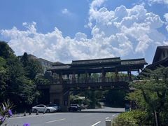-江南天池
